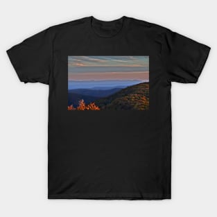 Hazy Shenandoah T-Shirt